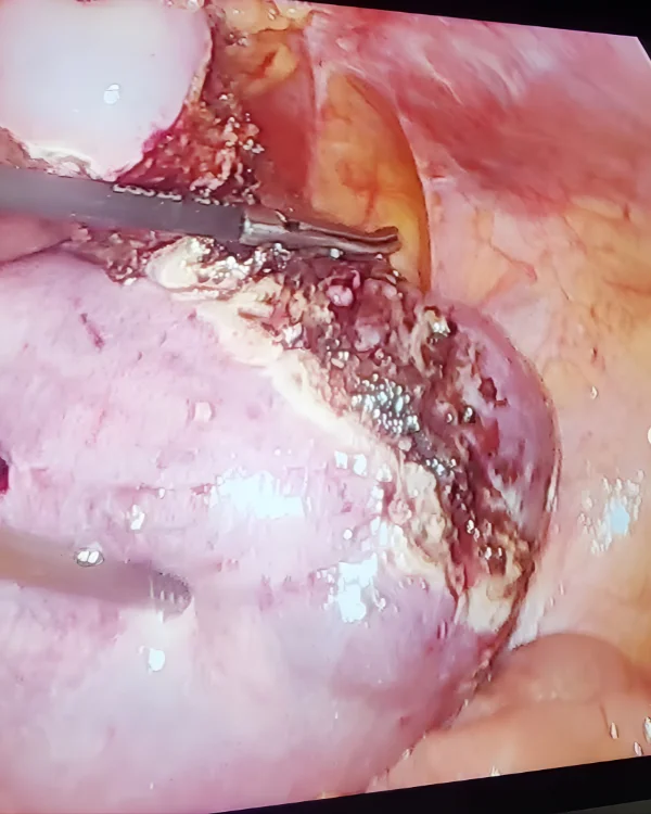 Dr. Jasmin Rath Clinic Services – Image Gallery