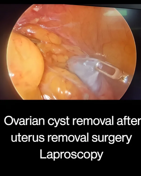 Dr. Jasmin Rath Clinic Services – Image Gallery