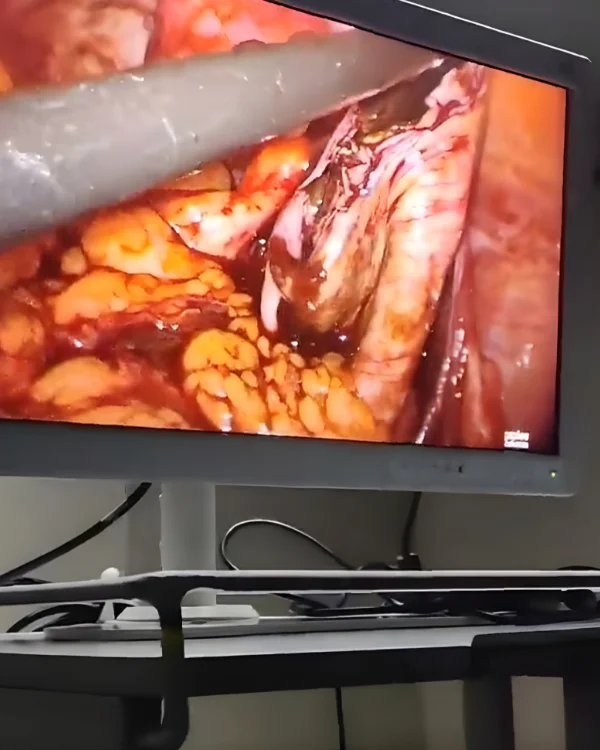 Dr. Jasmin Rath Clinic Services – Image Gallery