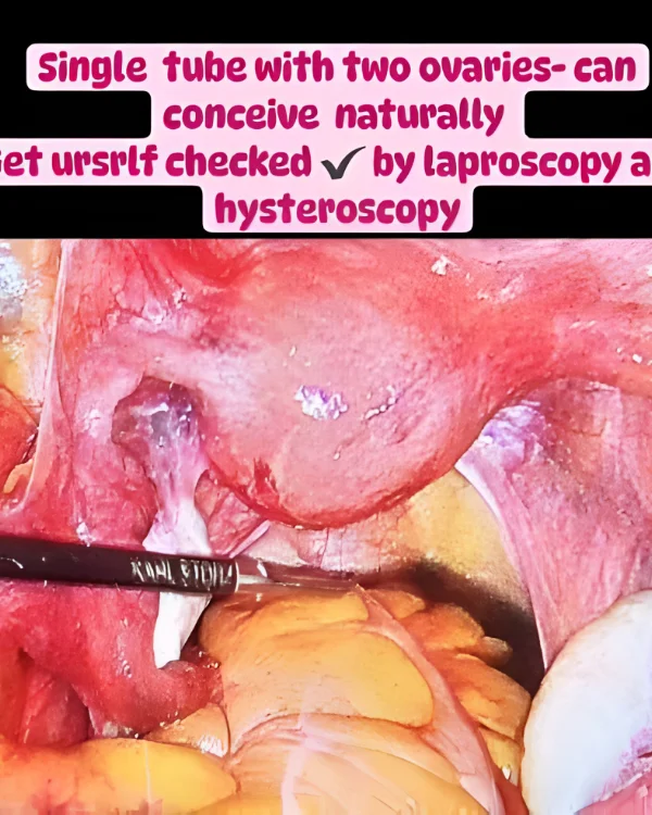 Dr. Jasmin Rath Clinic Services – Image Gallery