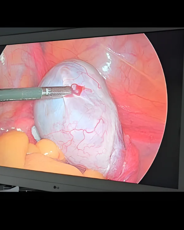 Dr. Jasmin Rath Clinic Services – Image Gallery