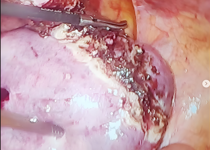 Dr. Jasmin Rath Clinic Services – Image Gallery