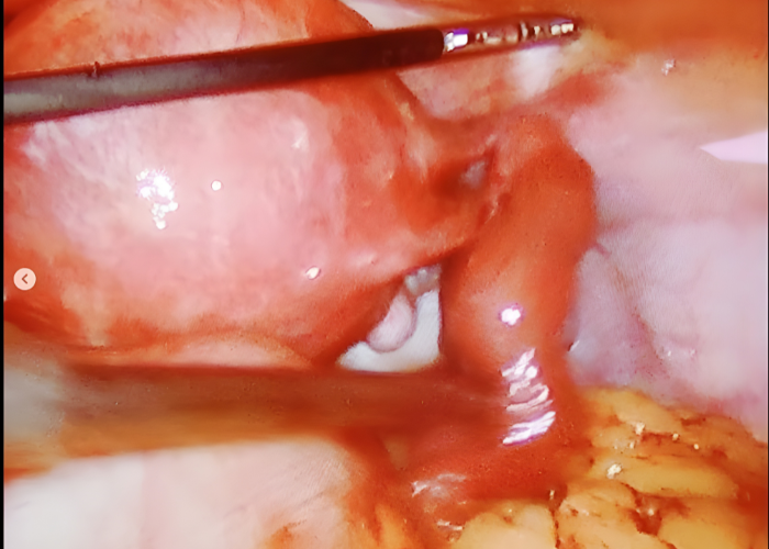 Dr. Jasmin Rath Clinic Services – Image Gallery